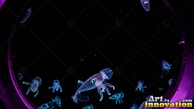 Tiny speckled blue squid swim through dark ocean water inside a round porthole frame