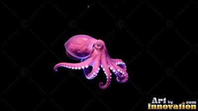 In deep black water, a small purple octopus curls its tentacles in bright light