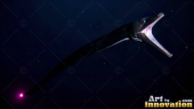 A slender black eel opens wide jaws in the dark water, with a bright pink dot on its tail tip