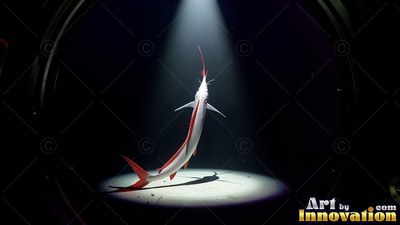 A red and white fish swimming upward in a spotlight on the dark ocean floor