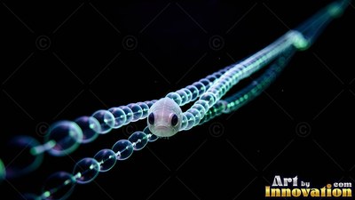 A small transparent sea creature swims forward through pitch black water with pale blue rings trailing behind