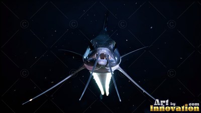 A deep-sea fish swims forward in dim water with bright points under its belly