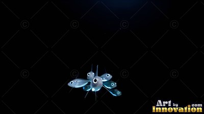 Facing forward in deep black water, small pale fish swim in a tight bunch