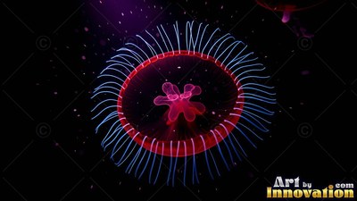 In dark water, a round jellyfish shines with bright red rings and blue tentacles