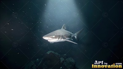 A gray shark swimming in the dark water lit from above