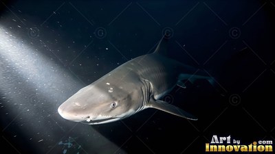 A gray shark swims through black water right beside a beam of white light