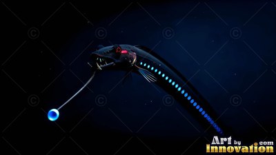 A black viperfish swims forward with bright blue dots along its belly