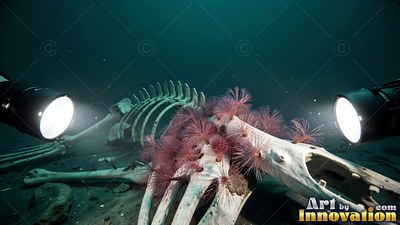 Lying flat on the shadowy ocean floor, a whale skeleton is lit by two bright lights
