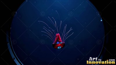 A red jellyfish drifts through dark water with thin tentacles reaching up