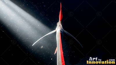 Swimming upward into a beam of light, a slender silver oarfish has bright red fins