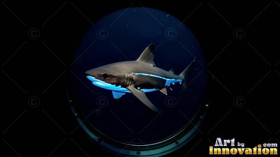 A shark seen swimming in dark water through a round window
