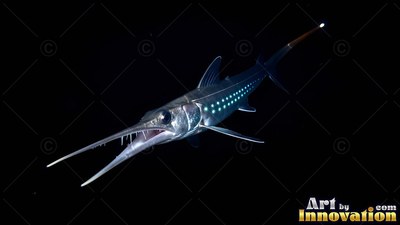 In black water, a slender deep-sea fish swims forward with its long jaw open