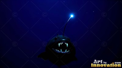 In deep dark blue water, an anglerfish bares sharp teeth under its blue light lure