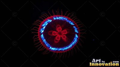 Drifting in the dark water, a round red jellyfish shows a bright ring of blue fringe