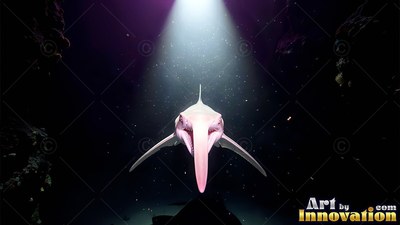 Swimming into a beam of white light, a pale pink goblin shark faces forward in the dark