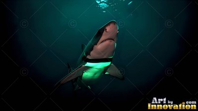 A shark swims up toward the surface with bright green light shining on its belly