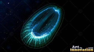 An oval comb jelly drifts in dark water, lined with bright blue sparkles
