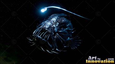 Swimming through pitch inky water, an anglerfish bares its long needle teeth