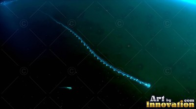 A long string jellyfish drifts through dark water, shining with bright blue light