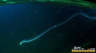 In deep ocean water, a long siphonophore shines with small blue lights