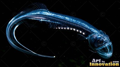 A long blue fish with sharp teeth in deep black water