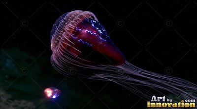 A dark red jellyfish with thin white tentacles swims through pitch black water