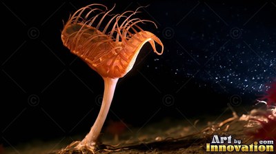 Thin curved tentacles flare from an orange sea anemone standing on the shadowy ocean floor