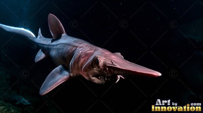 In pitch-black ocean water, a pink goblin shark swims toward the dark front