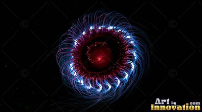 A round jellyfish shines bright blue and deep red in the dark ocean