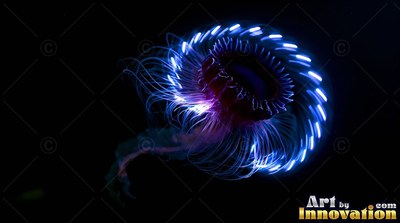 A jellyfish with bright blue tentacles in inky water