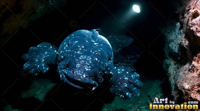 A blue spotted fish swims forward in shadowy water, lit by a round spotlight from above