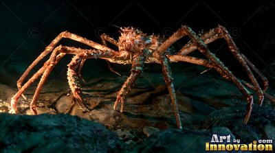 A spider crab crawls over dark rocks under a focused beam of white light