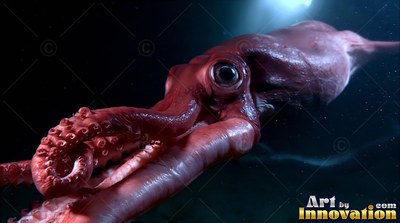 Swimming forward in the dark water, a red giant squid illuminated by bright light above