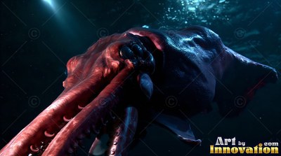 Swimming forward, a giant squid shows its suckers under cold blue water light