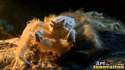 A hairy white crab crawls over dark sea rocks under a warm golden spotlight