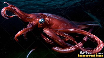 Swimming in dark water, a reddish giant squid curls its suckered tentacles