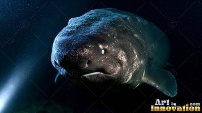 A dark gray shark swims through black water toward a beam of light