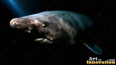 Rough gray skin on a sleeper shark swimming through deep black water lit by a blue beam