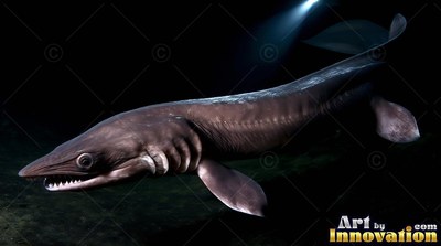 Swimming in pitch inky water, a dark brown frilled shark turns toward a beam of light