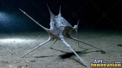 A pale tripod fish standing on the sandy ocean floor
