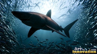 Swimming upward from below, a dark shark cuts through a dense school of silver fish