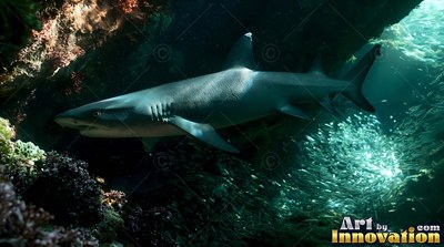 A gray shark swims past small fish in a dark sea cave