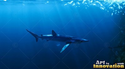 A slender shark passes through deep water under pale sunbeams filtering from above