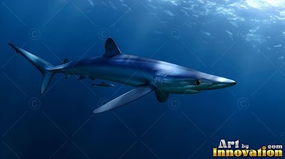 Gliding diagonally downward, a blue shark swims in deep sunlit water