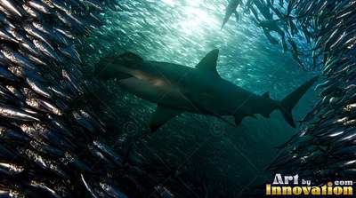In deep clear blue water, a hammerhead shark passes through a thick school of small fish