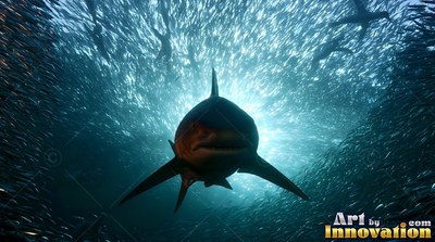 A shark swims forward surrounded by a school of fish
