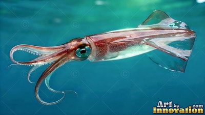 A reddish translucent squid drifts through clear blue water