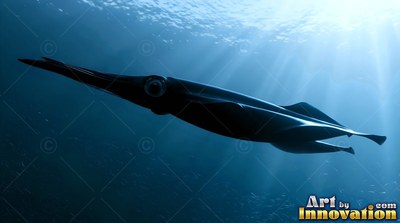 Angled downward in dark blue ocean water, a dark squid swims under sunlight