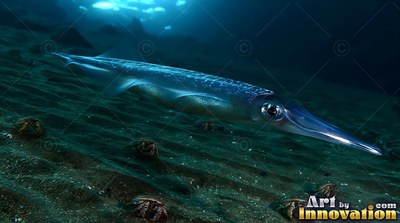 Gliding near the dark ocean floor, a slender blue squid travels over crabs in the sand