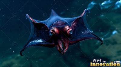 Swimming head-on in deep dark water, a vampire squid spreads webbed arms